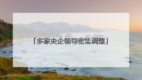多家央企领导密集调整