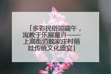 多彩民俗迎端午，寓教于乐展童真——上高街道魏家庄村萌娃传统文化盛宴