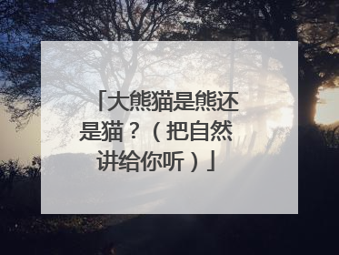 大熊猫是熊还是猫？（把自然讲给你听）