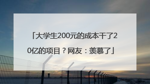 大学生200元的成本干了20亿的项目？网友：羡慕了