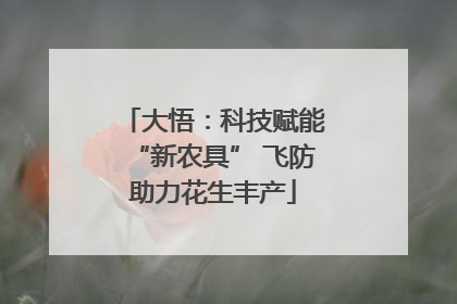 大悟：科技赋能“新农具” 飞防助力花生丰产