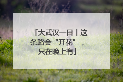 大武汉一日丨这条路会“开花”，只在晚上有