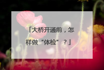 大桥开通前，怎样做“体检”？