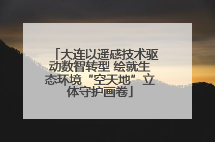 大连以遥感技术驱动数智转型 绘就生态环境“空天地”立体守护画卷