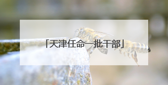 天津任命一批干部