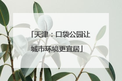 天津：口袋公园让城市环境更宜居