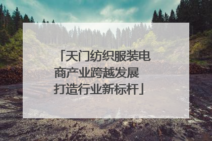 天门纺织服装电商产业跨越发展 打造行业新标杆