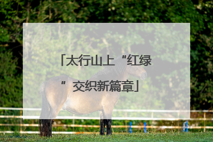 太行山上“红绿”交织新篇章