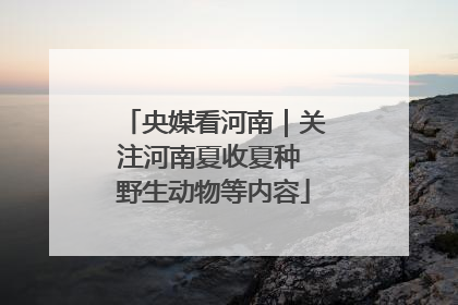 央媒看河南｜关注河南夏收夏种 野生动物等内容