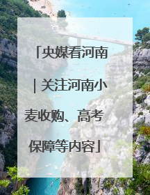 央媒看河南｜关注河南小麦收购、高考保障等内容