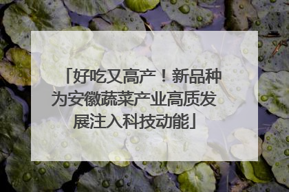好吃又高产！新品种为安徽蔬菜产业高质发展注入科技动能