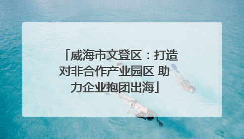 威海市文登区：打造对非合作产业园区 助力企业抱团出海