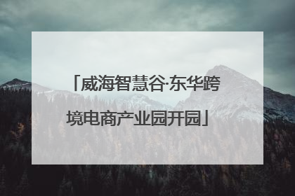 威海智慧谷·东华跨境电商产业园开园