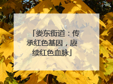 娄东街道：传承红色基因，赓续红色血脉