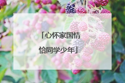 心怀家国情 恰同学少年