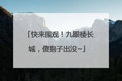 快来围观！九眼楼长城，傻狍子出没~