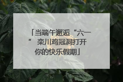 当端午邂逅“六一” 栾川鸡冠洞打开你的快乐假期