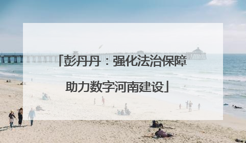 彭丹丹：强化法治保障 助力数字河南建设