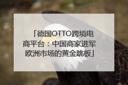 德国OTTO跨境电商平台：中国商家进军欧洲市场的黄金跳板