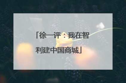 徐一评：我在智利建中国商城