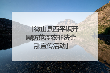 微山县西平镇开展防范涉农非法金融宣传活动