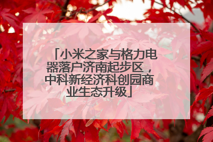 小米之家与格力电器落户济南起步区，中科新经济科创园商业生态升级