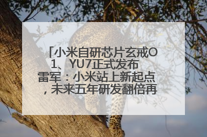 小米自研芯片玄戒O1、YU7正式发布 雷军：小米站上新起点，未来五年研发翻倍再投2000亿元