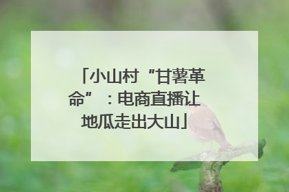 小山村“甘薯革命”：电商直播让地瓜走出大山