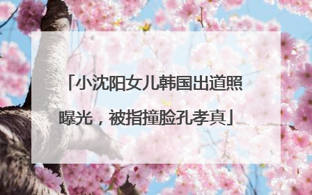小沈阳女儿韩国出道照曝光，被指撞脸孔孝真