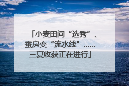 小麦田间“选秀”、蚕房变“流水线”……三夏收获正在进行