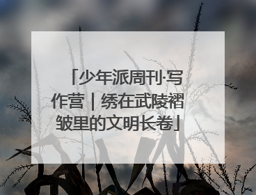少年派周刊·写作营｜绣在武陵褶皱里的文明长卷