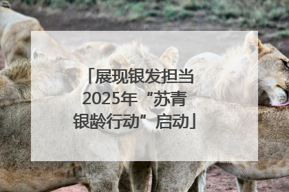 展现银发担当 2025年“苏青银龄行动”启动