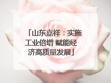 山东嘉祥：实施工业倍增 赋能经济高质量发展