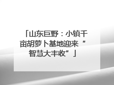 山东巨野：小镇千亩胡萝卜基地迎来“智慧大丰收”