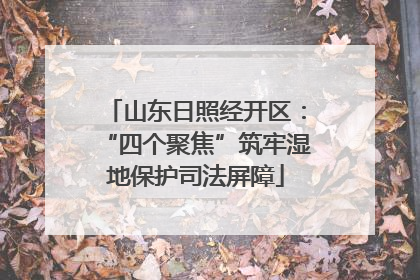 山东日照经开区：“四个聚焦”筑牢湿地保护司法屏障