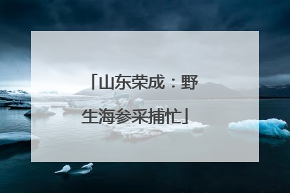 山东荣成：野生海参采捕忙