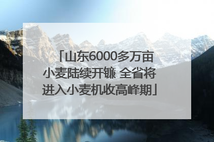山东6000多万亩小麦陆续开镰 全省将进入小麦机收高峰期