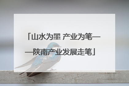 山水为墨 产业为笔——陕南产业发展走笔