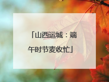 山西运城：端午时节麦收忙