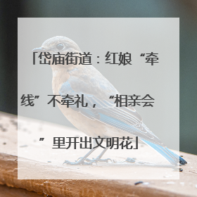 岱庙街道：红娘“牵线”不牵礼，“相亲会”里开出文明花