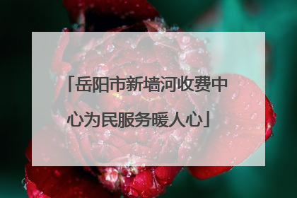 岳阳市新墙河收费中心为民服务暖人心