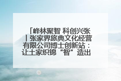 峰林聚智 科创兴张丨张家界旅典文化经营有限公司博士创新站：让土家织锦“智”造出非遗新传奇
