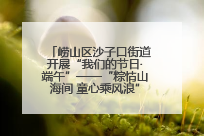 崂山区沙子口街道开展“我们的节日·端午”——“粽情山海间 童心乘风浪”文明实践活动