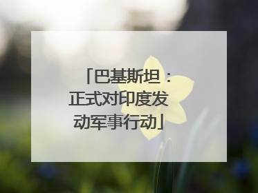 巴基斯坦：正式对印度发动军事行动