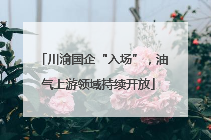 川渝国企“入场”，油气上游领域持续开放