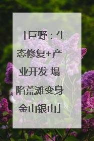 巨野：生态修复+产业开发 塌陷荒滩变身金山银山