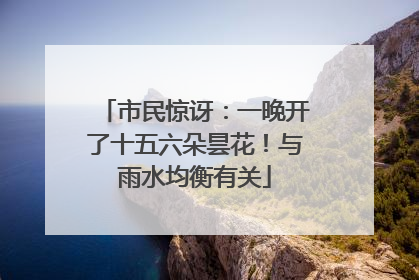 市民惊讶：一晚开了十五六朵昙花！与雨水均衡有关