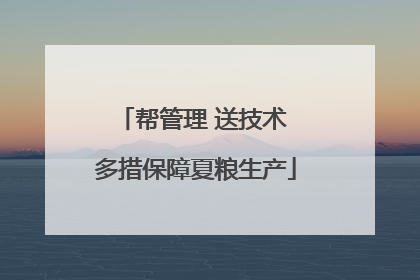 帮管理 送技术 多措保障夏粮生产