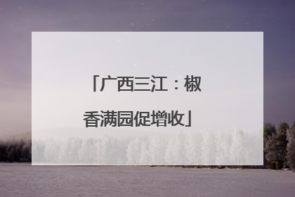 广西三江：椒香满园促增收