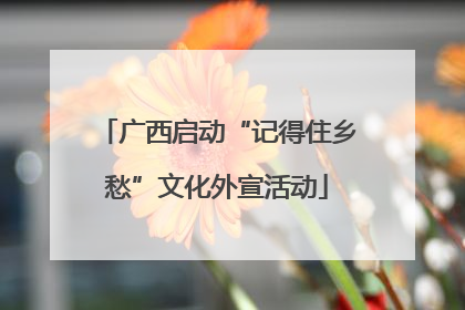 广西启动“记得住乡愁”文化外宣活动